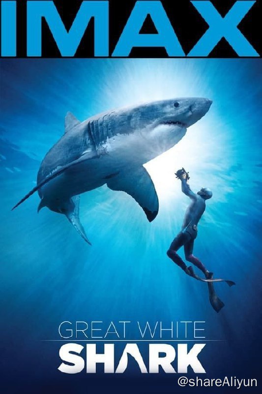 名称：大白鲨 (2013) 4K REMUX(蓝光 原盘) 中字外挂字幕描述：大白鲨是一个标志性的捕食者：我们喜欢害怕的生物
