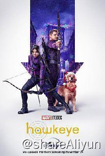 名称：鹰眼.Hawkeye S1描述：这部剧集主要讲述鹰眼Clint Barton如何把自己的名号传递Kate Bishop