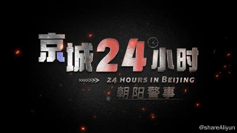 名称：京城24小时之朝阳警事 (2024)描述：以首都公安基层派出所工作为内容视角，通过沉浸式的拍摄手法记录北京CBD中心区一线公安干警的警务工作，以鲜活的人物、生动的故事，独特的视角，全景式展现首都公安一线的警务运行机制