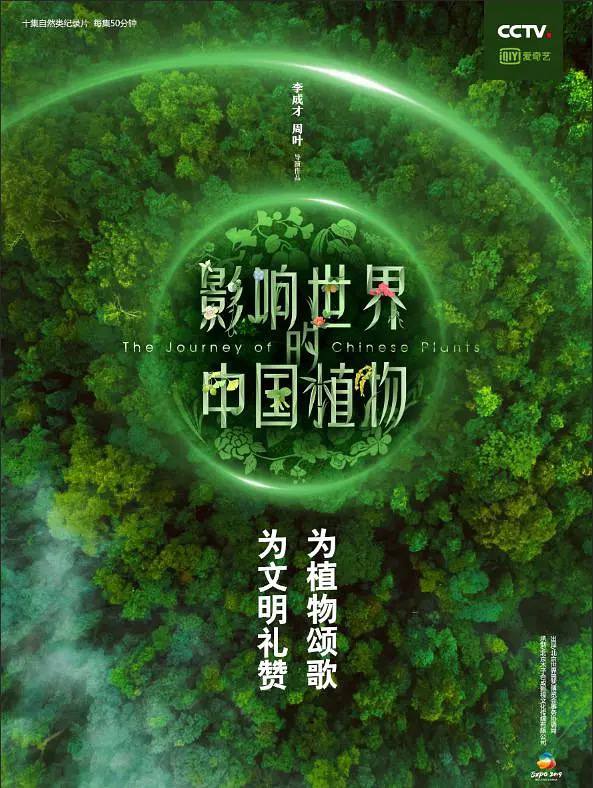 名称：影响世界的中国植物描述：中国以三万多种植物的数量位居世界第三，《影响世界的中国植物》选取其中21科28种植物，汇聚200多位主创三年制作，走遍国内27省和世界7个国家，描绘中国植物的模样