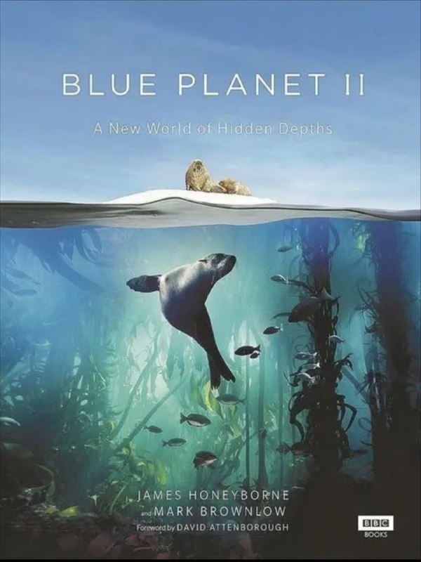 名称：蓝色星球 S2 (2017) 4K HDR描述：影片主要从极地海域到珊瑚岛礁；从大西洋到深海海底；向人们介绍了那些令人惊异的新景观及匪夷所思的新生物种