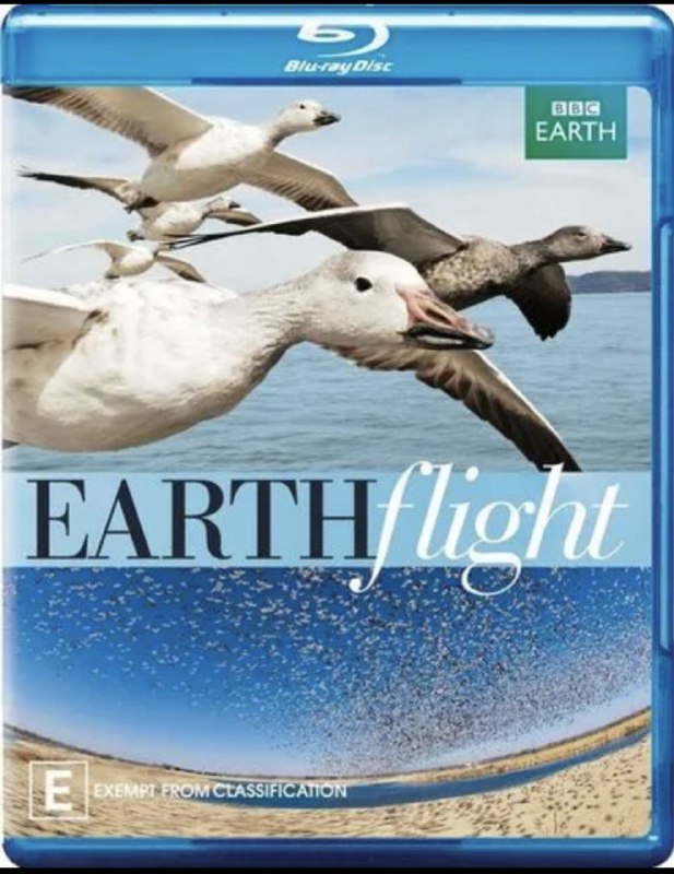 名称：鸟瞰地球 1080P描述：Earthflight影片年代：2011影片产地：英国对白语轨：英语音轨影片字幕：中英外挂字幕影片集数：6集电影简介：本片采用了一系列先进的设备，带我们领略地球的广袤山川以及野生动物的自然奇观，并揭示像鸟儿一样飞翔的感受