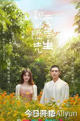 名称：亲爱的隐居先生【4K/1080P】更至15集描述：因为遭受不正当竞争而丢掉好几个合作的美食自媒体博主苏时雨（汤敏 饰），意外邂逅了放弃优渥生活隐居在山上种茶的富二代林味（陈靖可 饰）