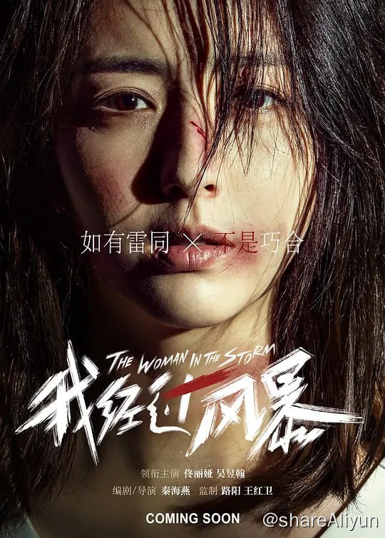 名称：我经过风暴 (2023) 佟丽娅描述：看似事业有成、儿女双全的徐敏（佟丽娅 饰）却有着难以启齿的秘密：她被丈夫陈均（吴昱翰 饰）长期家暴