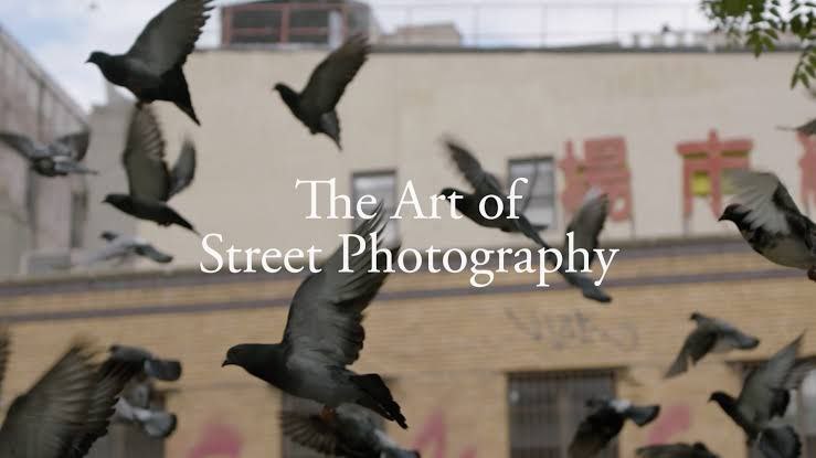 名称：马格南官方课程：街头摄影艺术描述：Discover The Art of Street Photography with Magnum photographersSeven world-class photographers - Bruce Gilden, Martin Parr, Susan Meiselas, Richard Kalvar, Carolyn Drake, Peter van Agtmael and Mark Power - plus industry leaders, provide their unique insights, knowledge and experience to guide you through the process of honing your photography skills through a curriculum of ten engaging, in-depth, on-demand video lessons. 价值99美元的官方课程，内封官方中文字幕