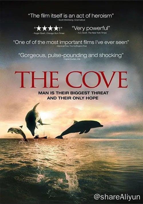 名称：海豚湾 The Cove (2009)描述：日本和歌山县太地，是一个景色优美的小渔村，然而这里却常年上演着惨无人道的一幕