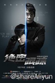 名称：绝密跟踪(2013)描述：在韩国警察系统中存在着一个特殊的部门——监视班，该班有一群貌不惊人但拥有高超分析能力和跟踪技巧的探员组成