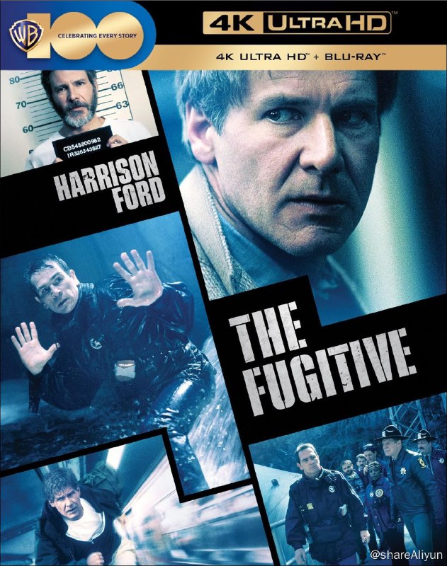 名称：亡命天涯 4K原盘REMUX [HDR] [国英双语] [内封简英双字]描述：亡命天涯的剧情简介 · · · · · ·  金波医生（Harrison Ford 饰）的妻子在家中被人谋杀，虽然金波当晚撞见独臂凶手并与之搏斗，但是凶手终于逃走，金波本人却因种种不利证据被判定为谋杀罪
