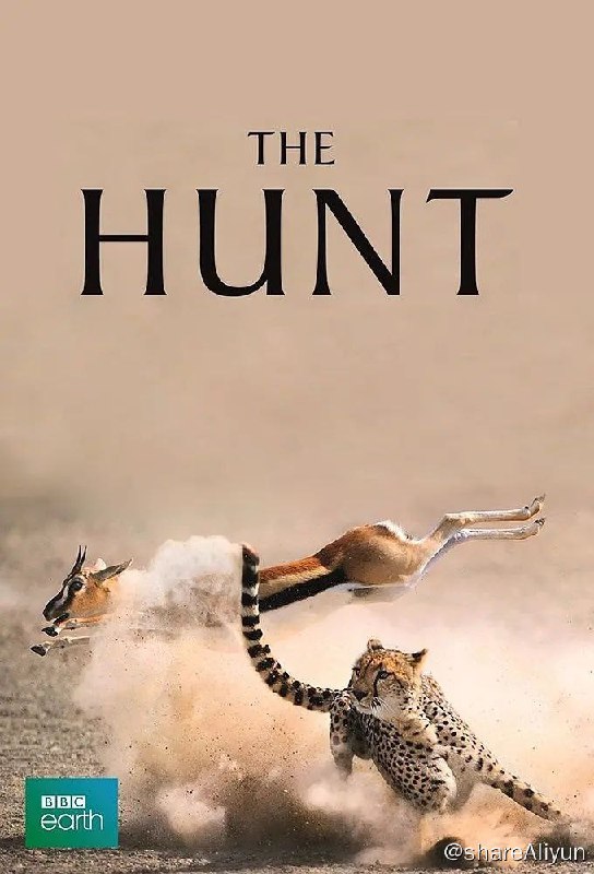 名称：《猎捕》纪录片 4K 高码描述：David Attenborough再次联合BBC推出全新纪录片，由《行星地球》团队倾力打造，全方位展现动物在觅食过程中的戏剧性一刻，并首次披露南美水濑，座头鲸的猎食行为，更借用了电影、戏剧中的片段，力求给观众一个具有说服力的印象