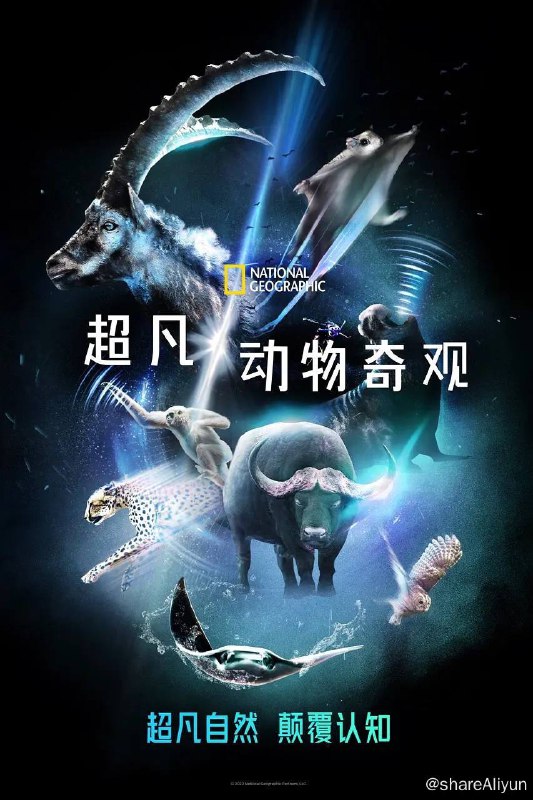 名称：超凡动物奇观 (2022) 2160p 高码率 DDP5.1 内封多国语【高分纪录片】描述：该纪录剧集由詹姆斯·卡梅隆监制，由荣获奥斯卡奖提名和英国电影学院奖的本尼迪克特·康伯巴奇配音
