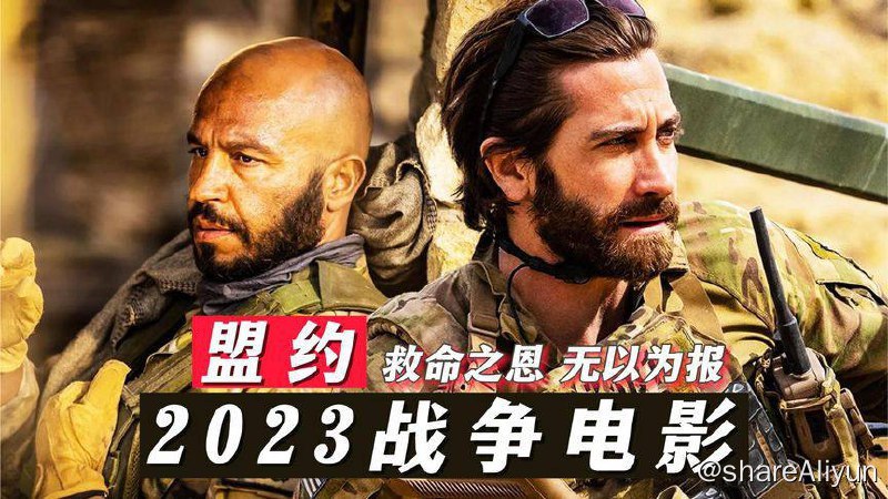 名称：盟约(2023) 4K HDR描述：美军中士约翰·金利（杰克·吉伦哈尔 饰）最后一次在阿富汗执行任务，和当地翻译艾哈迈德一起调查该地区