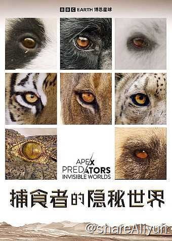 名称：捕食者的隐秘世界 (2024) 4K 高码 国英多音轨 中英硬字幕描述：每集聚焦一个动物家族，纪录了自然界中23种捕猎者令人惊叹的超凡本领