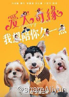 名称：爱犬奇缘 2023描述：雪纳瑞Lucky是千菲菲（娜扎 饰）没有送出去的礼物，陷入了该不该留下Lucky的纠结中，结识宠物医生狗王陈（冯绍峰 饰），又经历了一系列事情后，菲菲才发现自己早已离不开Lucky了；西高地犬波比比爱上了住在隔壁的西施犬Jojo，为了可以天天见面，他们决定让两位主人 相识，向往浪漫的程风（刘以豪 饰）与冷静潇洒的小雪（李嘉琦 饰）就这样陷入了一场爱的阴谋；流浪狗阿宝闯进了朋克少女魏小楠（卜冠今 饰）的生活，但固执古板的爸爸老魏不愿意收留阿宝，为了能够生活在这里，阿宝立志成为一只好狗，在日复一日的陪伴中，老魏也逐渐放下了偏见接纳阿宝……链接：