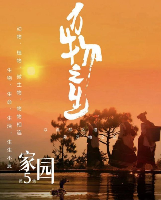 名称：万物之生 4K(2160P)描述：Wan.Wu.Zhi.Sheng影片年代：2022影片产地：中国对白语音：普通话影片字幕：中字外挂字幕影片集数：5集电影简介：天地间，万物有灵；种群纷繁，皆相伴而生，一同栉风沐雨，行循自然