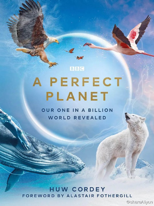 名称：完美星球 A Perfect Planet (2021)【REMUX】描述：《完美星球》是一部与地球科学巧妙结合的蓝筹自然历史纪录片，它揭示了我们所生存的这颗星球的运转规则