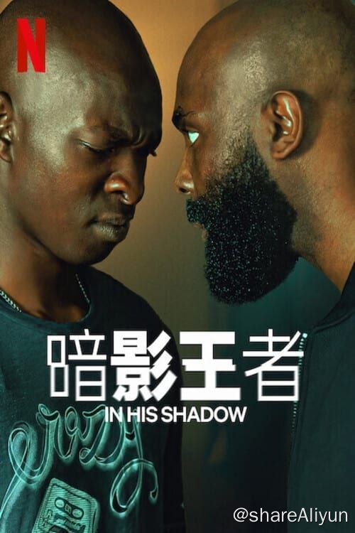 名称：暗影王者 Le Roi des Ombres (2023)描述：父亲去世后，同父异母的兄弟俩在一场不断升级的冲突中站到了对立面，悲剧随之而来
