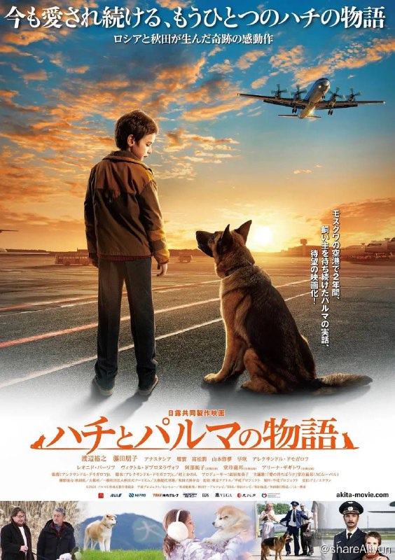 名称：忠犬帕尔玛（2021）1080p 蓝光原盘 内封简中描述：影片由真实故事改编