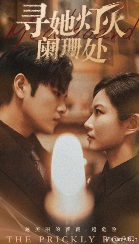 名称：寻她灯火阑珊处 - 2024.S01.1080p描述：杀手组织“朱雀”排行第一的杀手，“血蔷薇”唐容归隐前最后一个任务，是杀死谢氏集团的继承人谢昭