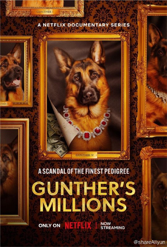 名称：亿万富犬 S1(2023) 4K HDR & Dv 中字内嵌字幕描述：一只名叫“甘瑟”的狗狗竟然拥有信托基金，而比这更奇怪的是他那古怪的管家也过着奢华的生活，身边还有一群邪教般的随从