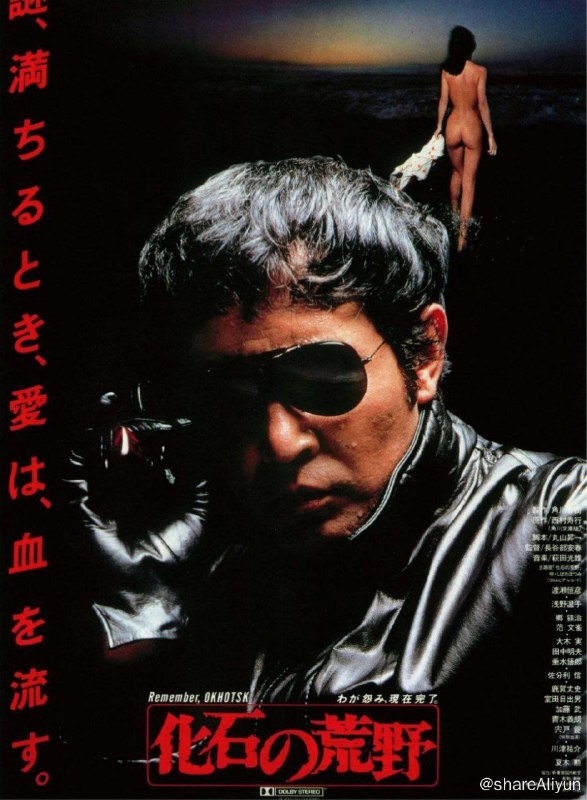 名称：化石的荒野 (1982) 4K HDR 中字内嵌字幕描述：一部具有角川电影感的动作悬疑电影，由以动作片闻名的丸山翔一的西村敏之同名小说改编，由曾拍摄过多部电视剧的长谷部泰晴执导