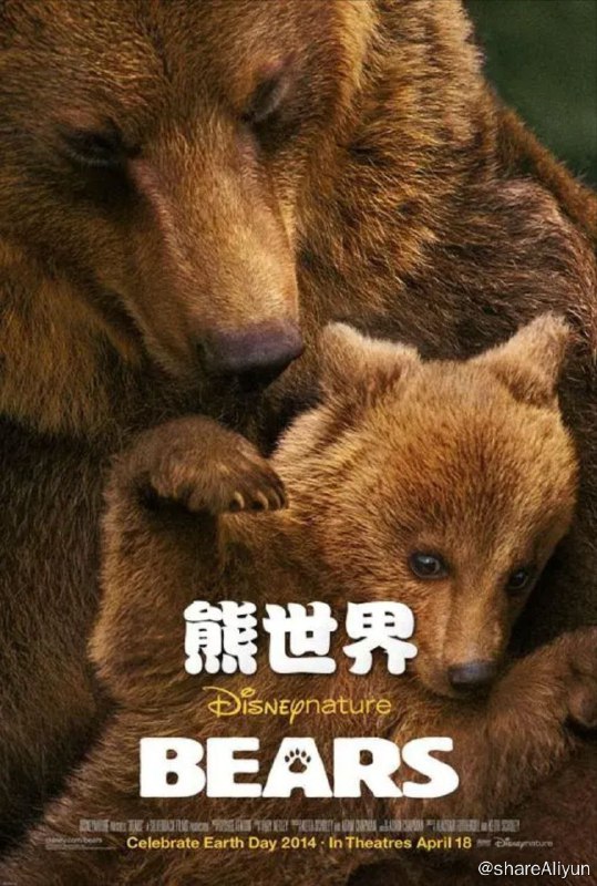 名称：熊世界 (2014) 1080P REMUX(蓝光 原盘) 中英外挂字幕描述：影片追踪纪录了一个棕熊家庭在一年四季变换中的生活点滴