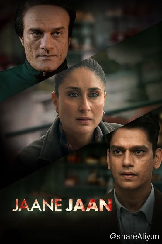 名称：嫌疑人X的献身(2023) 1080P HDR 内封简繁描述：一位单身母亲被卷入罪案调查，她的天才数学教师邻居伸出援手，而一名执着的警察也开始深入调查此案