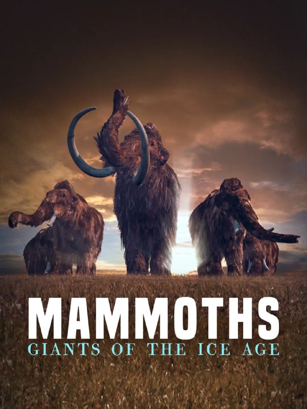 名称：猛犸象：冰河世纪的巨兽 Mammoths Giants of the Ice Age (2016)描述：巴黎的国家自然历史博物馆有个特别区域——进化长廊