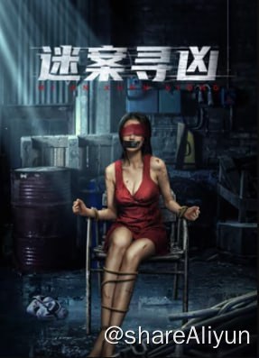 名称：迷案寻凶 4K60FPS&TV高码描述：该剧是一部公安题材的悬疑犯罪剧