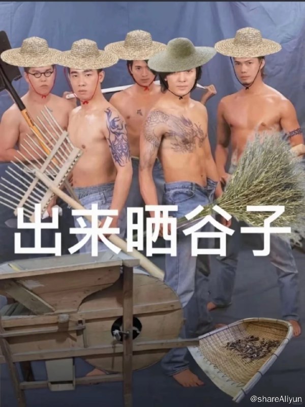 名称：古惑仔  系列合集描述：东升社在老大骆驼的重整下声势日盛，而洪兴社在蒋天生（任达华 饰）的管理下亦蒸蒸日上