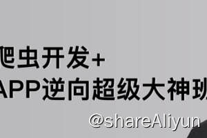 名称：【路飞学城】爬虫开发+APP逆向超级大神班-01期描述：从Python语言的基本特性入手，详细介绍了Python爬虫开发的相关知识，涉及HTTP、HTML、JavaScript、正则表达式、自然语言处理、数据科学等内容
