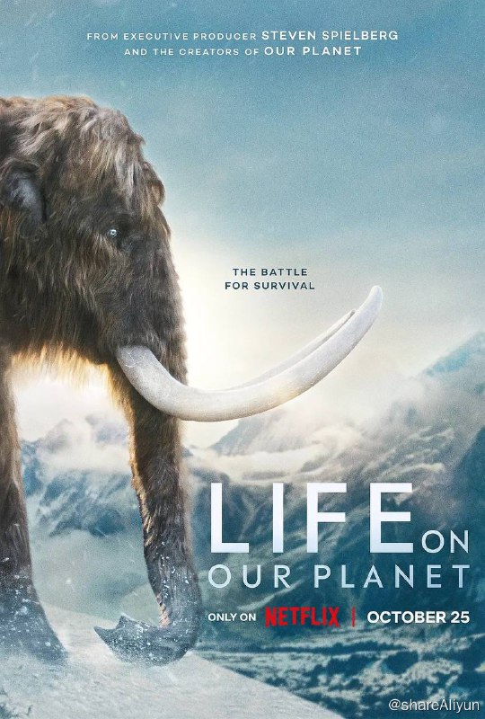 名称：我们星球上的生命 Life on Our Planet (2023) 1080p 高码 内封多国语 8集全【纪录片】描述：这是关于生命在地球上如何奋力征服和生存的史诗故事