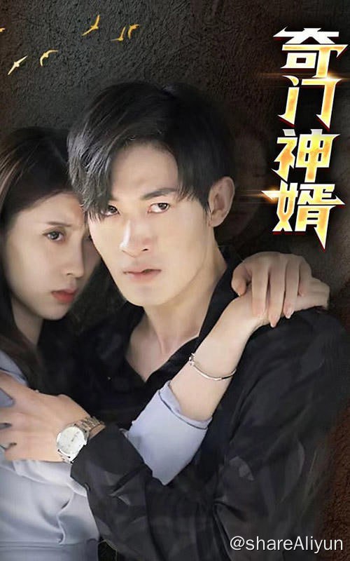 名称：奇门神婿 - 2024.S01.720p描述：天下第一奇门传人楚尘，学成下山途中，意外封印了自己的双魂五魄，当了五年的傻子上门女婿