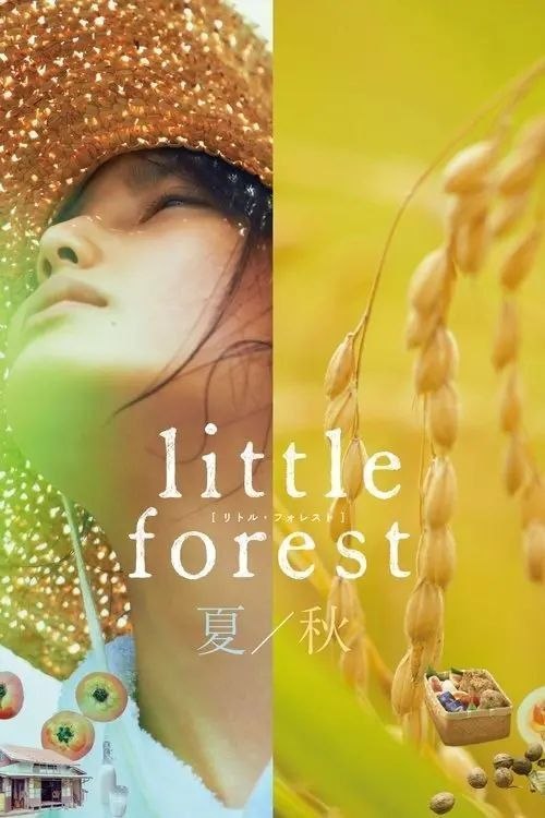 名称：【原盘】小森林：夏秋篇 (2014) 1080P REMUX内封简繁字幕描述：平凡女孩市子(桥本爱 饰)自幼生长在位于日本东北地区的村庄小森
