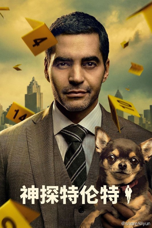 名称：特伦特探员✨【1080p.WEB】描述：本剧改编自卡琳·斯劳特所著的《纽约时报》畅销小说“威尔·特伦特系列”