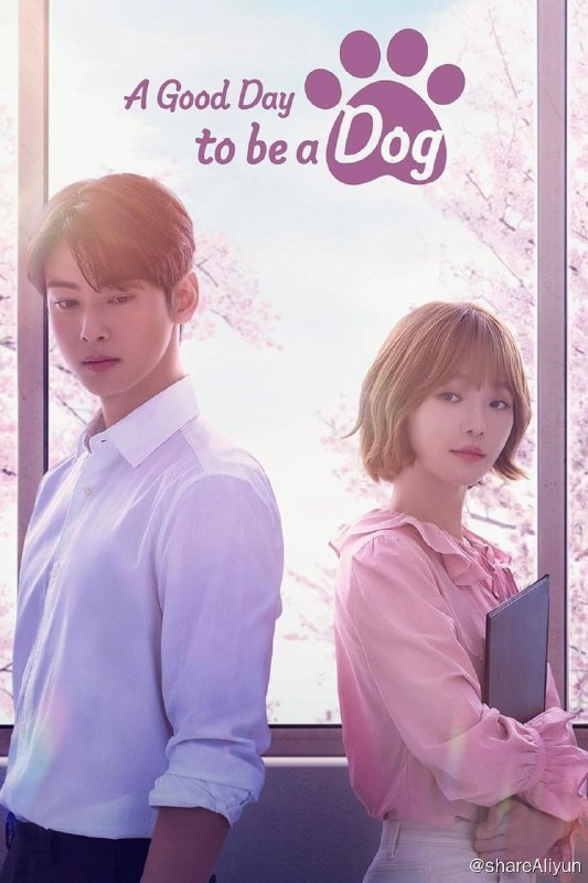 名称：今天也很可爱的狗 (2023) 1080p NF 高码 内封简繁英 更EP04 【热播韩剧】【刮削】描述：此剧讲述了每到凌晨就变成狗，想要解开诅咒的女人和一个怕狗的男人之间发生的推拉爱情故事