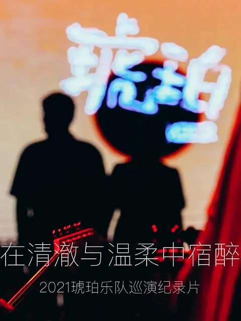 名称：琥珀，在清澈与温柔中宿醉 (2021)描述：在琥珀携新专辑《时间边界》巡演南京站，四位乐手和Switch On逐一拆解介绍了各自的设备和使用习惯，对喜欢后摇、乐器和琥珀乐队的同学，这次记录是一次不可多得的深入了解机会